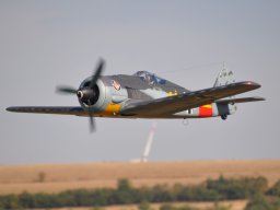 Flugtag 2022